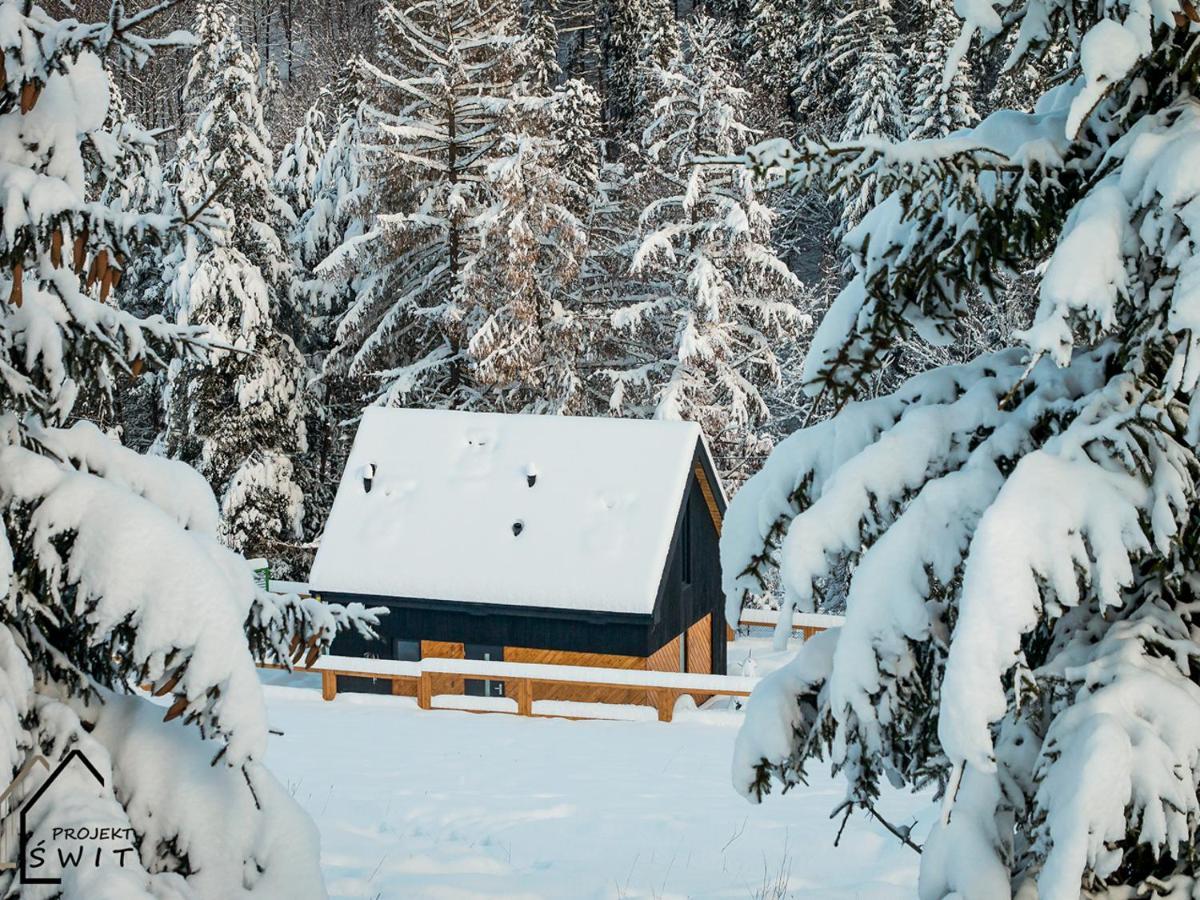 Projekt Swit - Z Prywatna Jacuzzi I Sauna Holiday home Zywiec
